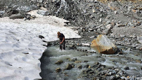 Researcher collects larvae in glacial waterways